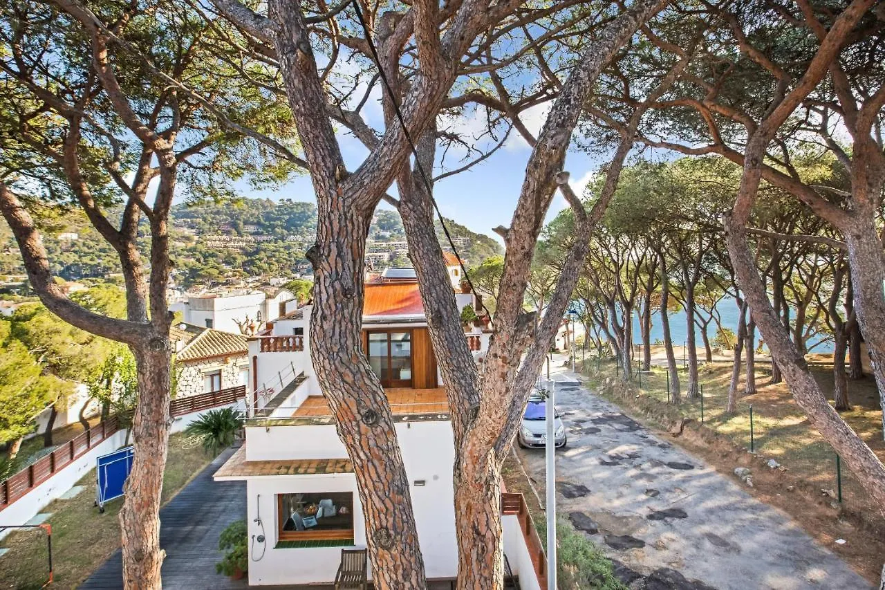 Anc 06 - Llafranc Apartment Spain